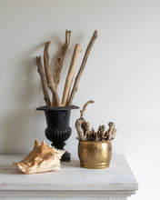 Load image into Gallery viewer, 6" Brass Planter