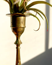 Load image into Gallery viewer, Etched Brass Candlestick - Leaves + Air Plant