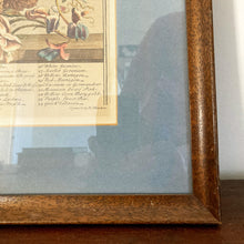 Load image into Gallery viewer, Framed Botanical June Print