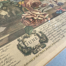 Load image into Gallery viewer, Framed Botanical June Print
