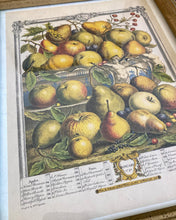 Load image into Gallery viewer, Framed Fruit Engraving January Print