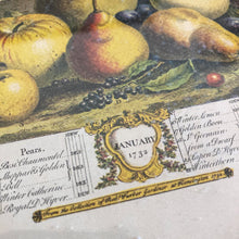 Load image into Gallery viewer, Framed Fruit Engraving January Print