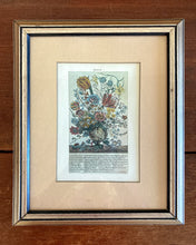 Load image into Gallery viewer, Framed Botanical March Print