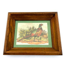 Load image into Gallery viewer, Vintage Pheasant Print - Green Border
