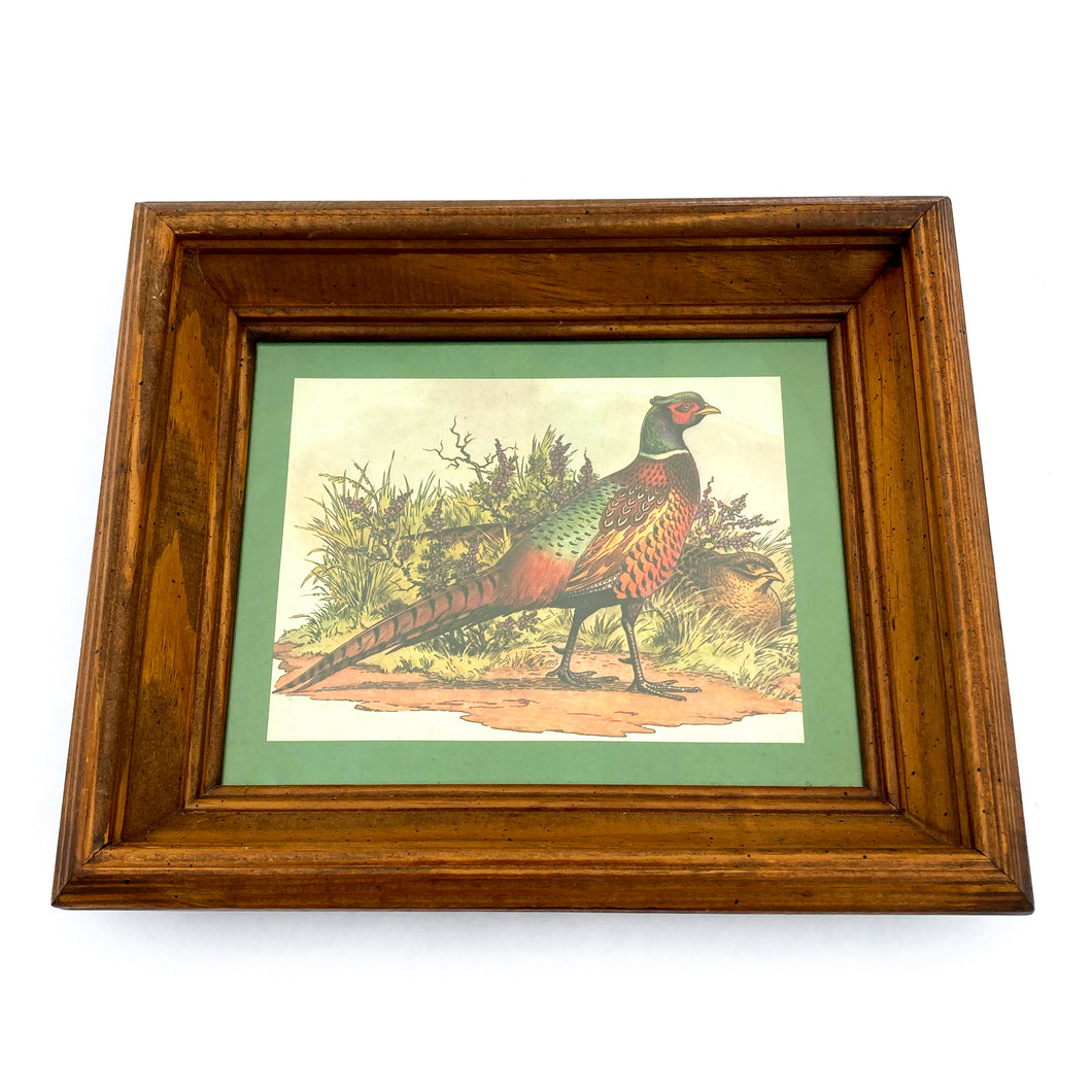 Vintage Pheasant Print - Green Border