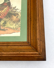 Load image into Gallery viewer, Vintage Pheasant Print - Green Border
