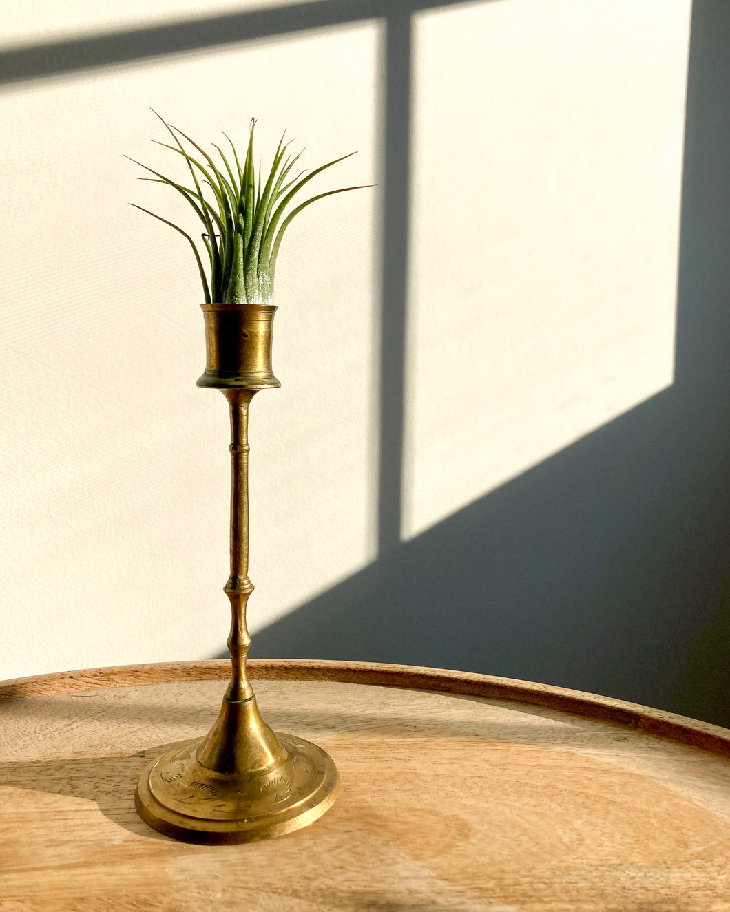 Etched Brass Candlestick + Air Plant