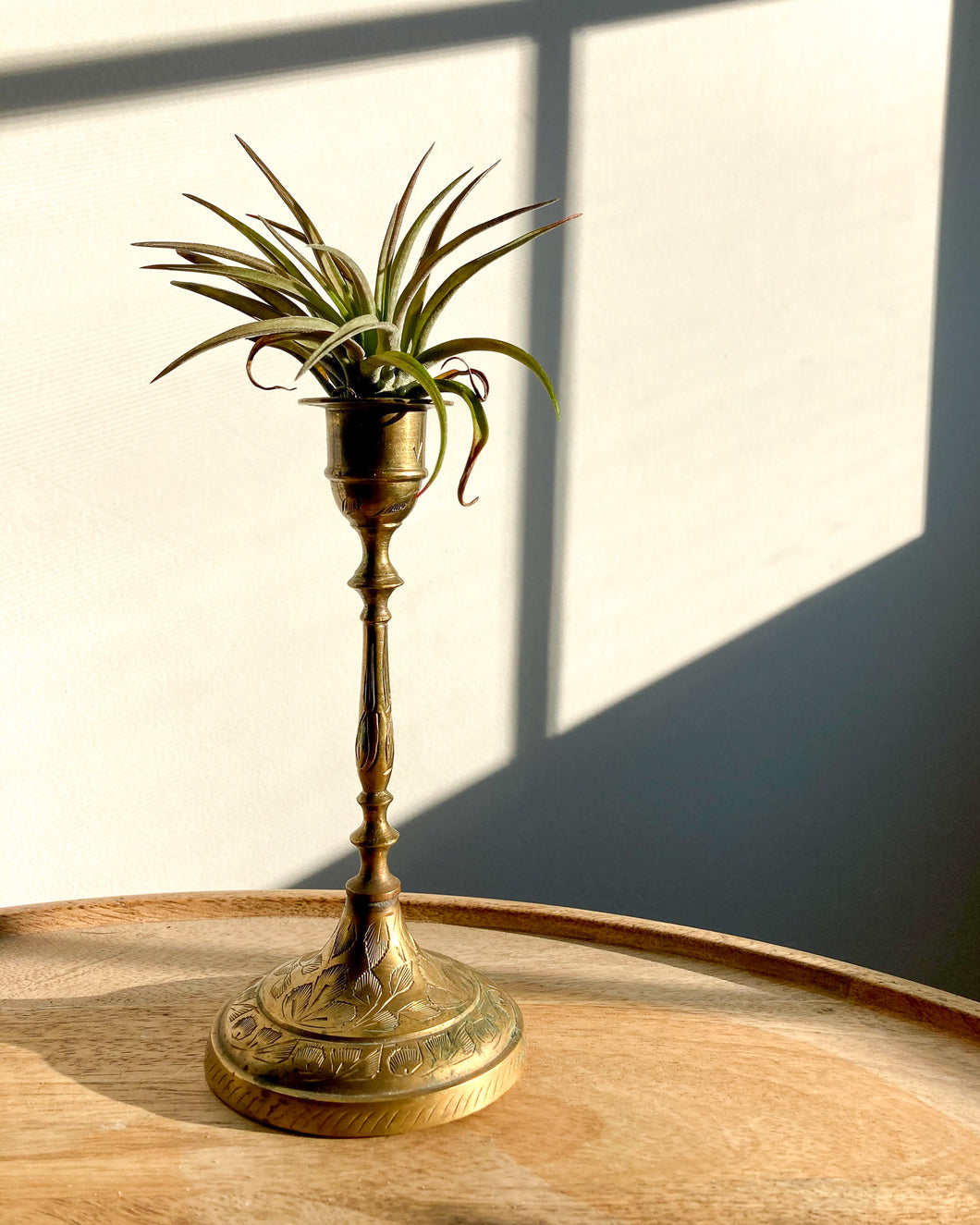 Etched Brass Candlestick - Leaves + Air Plant