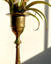 Load image into Gallery viewer, Etched Brass Candlestick - Leaves + Air Plant
