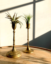 Load image into Gallery viewer, Etched Brass Candlestick + Air Plant
