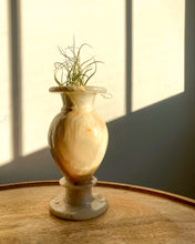 Load image into Gallery viewer, Onyx Marble Stone Vase + Air Plant
