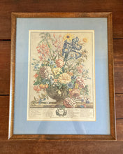 Load image into Gallery viewer, Framed Botanical June Print
