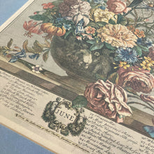 Load image into Gallery viewer, Framed Botanical June Print
